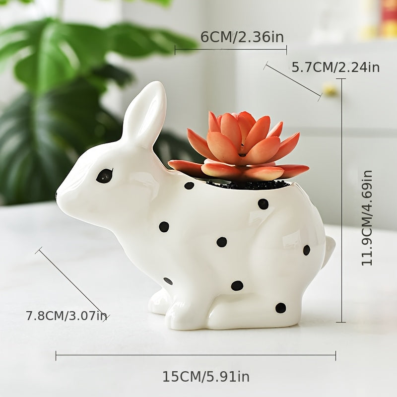 3pcs Cute Succulent Planter Tabletop Decoration for Living Room and Office